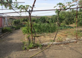 Giardino - Villa villasmundo strada provinciale 95, Melilli - foto 39