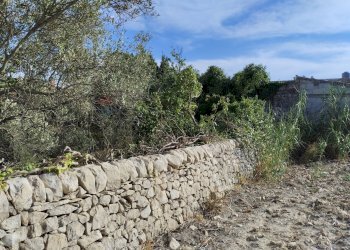 Giardino - Casa indipendente Strada provinciale 33, Modica - foto 16