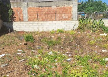 Giardino - Terreno edificabile Contrada Granati Nuovi
 
snc, Rosolini - foto 5