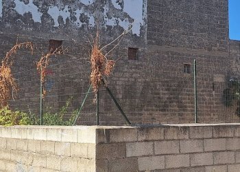 Edificio all\'aperto - Terreno edificabile Contrada Granati Nuovi
 
snc, Rosolini - foto 6