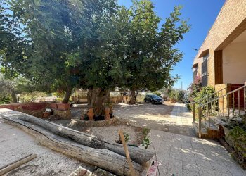 Giardino - Villa C.DA CARRATA
 
SNC, Pachino - foto 26