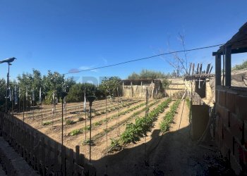 Giardino - Villa C.DA CARRATA
 
SNC, Pachino - foto 28