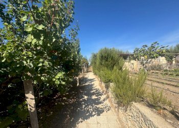 Giardino - Villa C.DA CARRATA
 
SNC, Pachino - foto 30