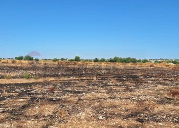 Non correlato - Terreno edificabile Contrada Masicugno
 
snc, Rosolini - foto 10