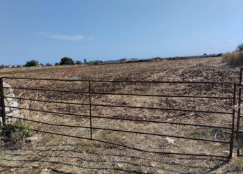 Vista delle montagne - Rustico C.da Finocchiara
 
s.n.c., Modica - foto 21