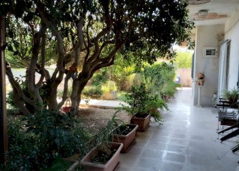 Giardino - Casa indipendente via Vanella 26
 
9, Modica - foto 39