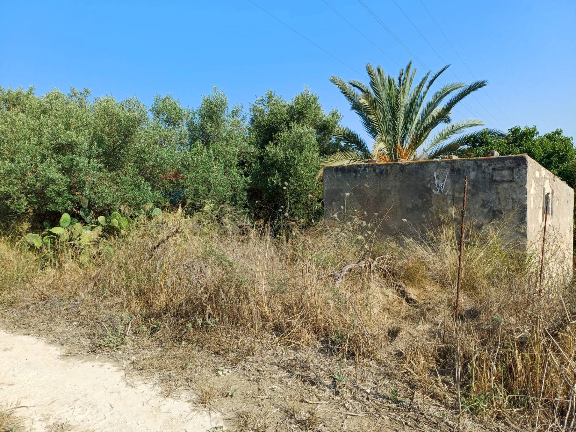Vista delle montagne - Terreno agricolo contrada Baracchino, Noto - foto 1