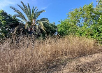 Non correlato - Terreno agricolo contrada Baracchino, Noto - foto 4