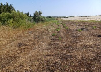 Non correlato - Terreno agricolo contrada Baracchino, Noto - foto 5