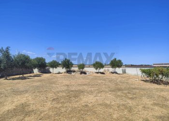 Giardino - Terreno edificabile Via Del Cromo
28, Siracusa - foto 10