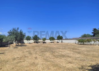 Giardino - Terreno edificabile Via Del Cromo
28, Siracusa - foto 15