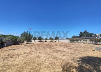 Giardino - Terreno edificabile Via Del Cromo
28, Siracusa - foto 16