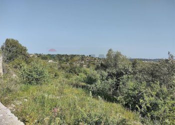 Terreno - Terreno agricolo Melilli - foto 3