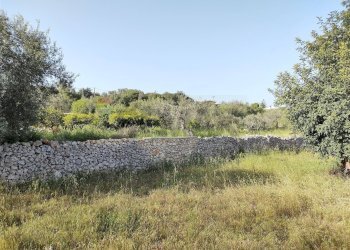 Terreno - Terreno agricolo Melilli - foto 4