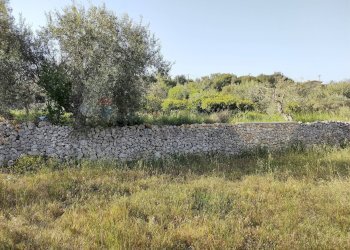 Terreno - Terreno agricolo Melilli - foto 5