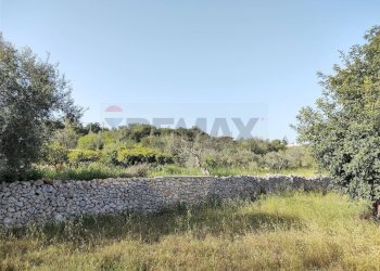 Terreno - Terreno agricolo Melilli - foto 6