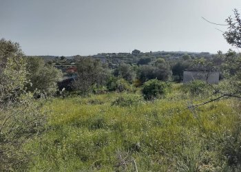 Terreno - Terreno agricolo Melilli - foto 7