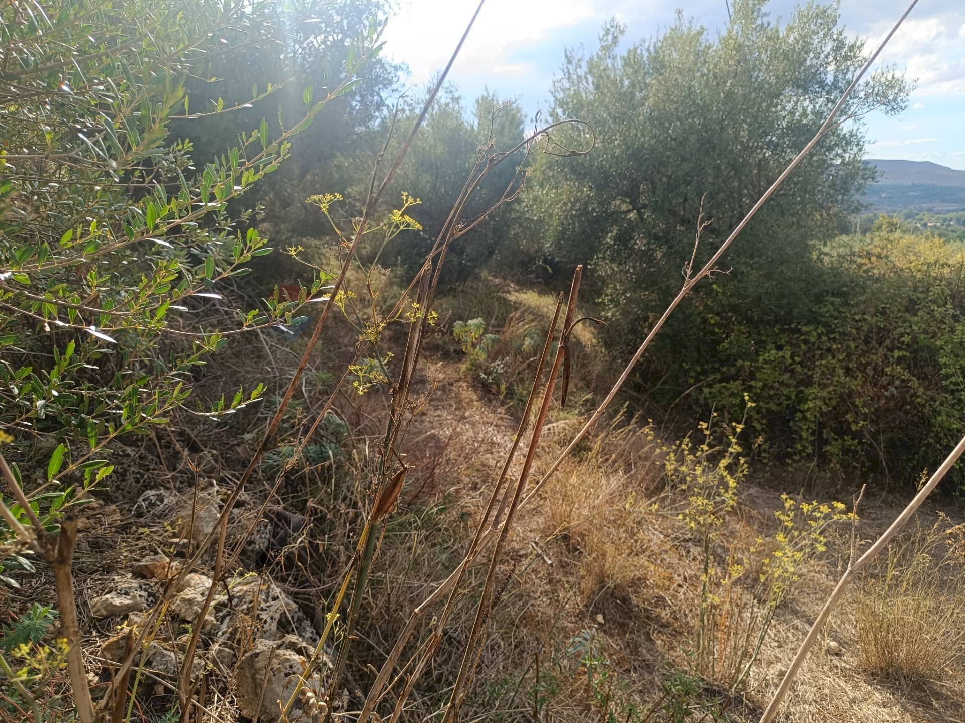 Vista delle montagne - Terreno agricolo contrada pennino, Sortino - foto 2