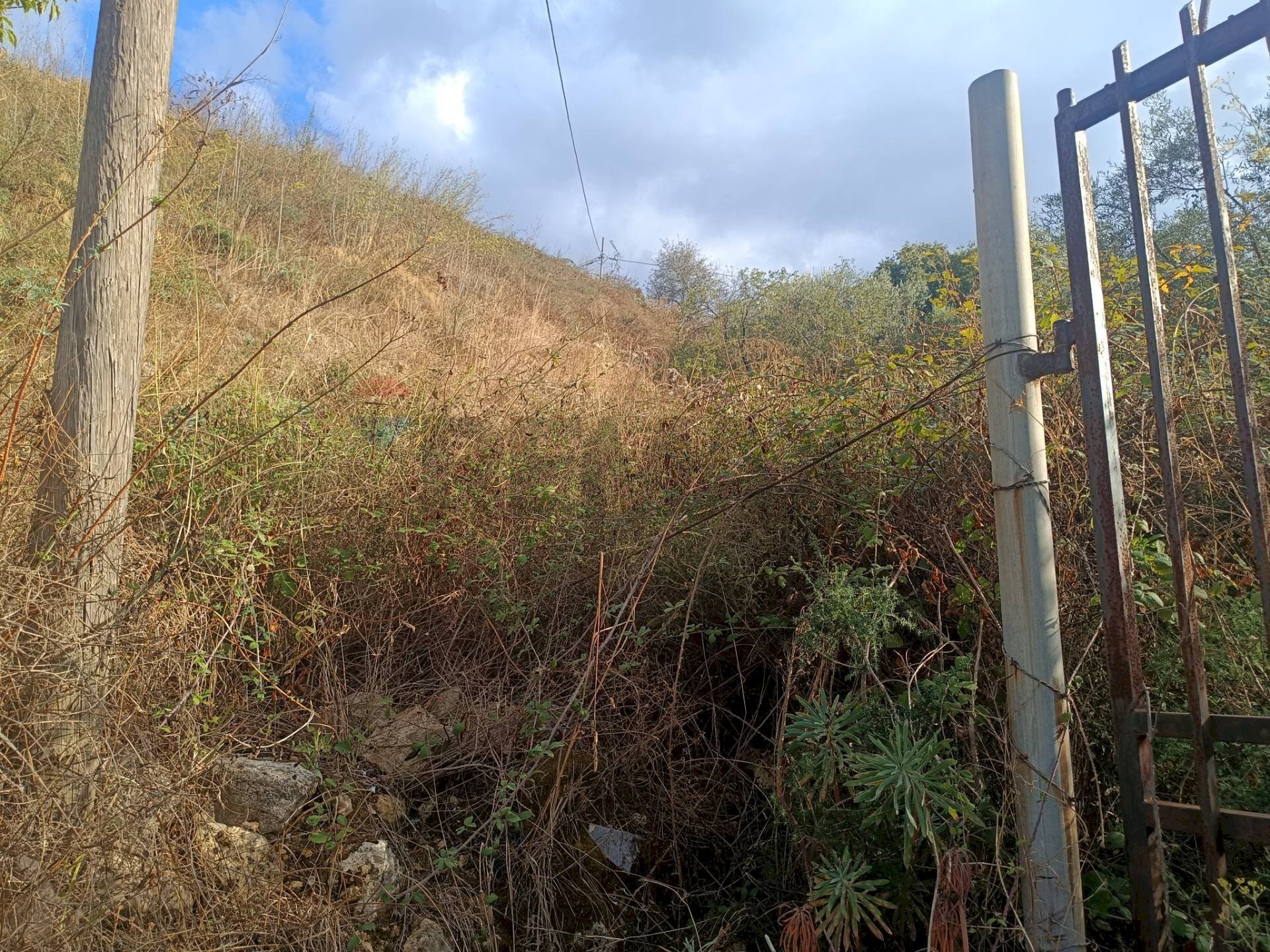Vista delle montagne - Terreno agricolo contrada pennino, Sortino - foto 3