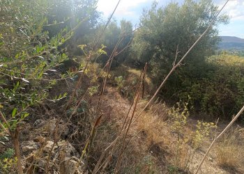 Vista delle montagne - Terreno agricolo contrada pennino, Sortino - foto 2