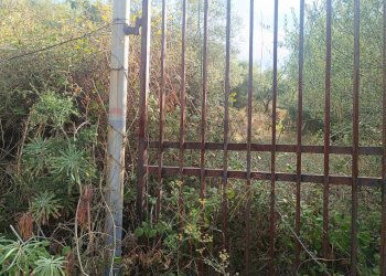 Giardino - Terreno agricolo contrada pennino, Sortino - foto 4