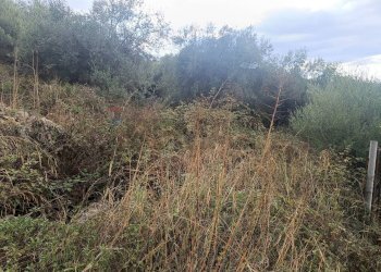 Non correlato - Terreno agricolo contrada pennino, Sortino - foto 6