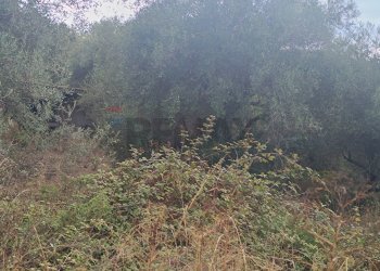 Non correlato - Terreno agricolo contrada pennino, Sortino - foto 9