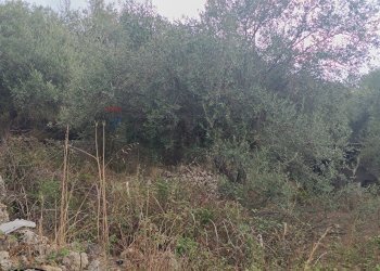 Non correlato - Terreno agricolo contrada pennino, Sortino - foto 10