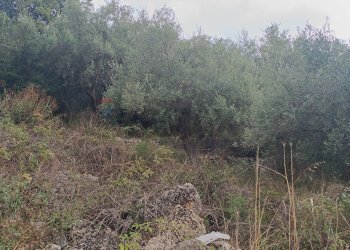 Non correlato - Terreno agricolo contrada pennino, Sortino - foto 11