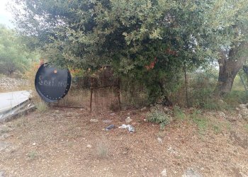 Giardino - Terreno agricolo contrada Gugni, Sortino - foto 1