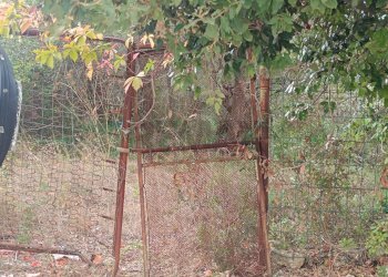 Giardino - Terreno agricolo contrada Gugni, Sortino - foto 7