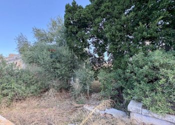 Giardino - Casa indipendente SS 124, Solarino - foto 10