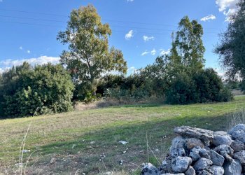 Giardino - Casa indipendente SS 124, Solarino - foto 13