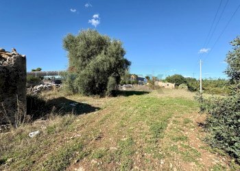 Giardino - Casa indipendente SS 124, Solarino - foto 16