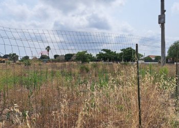 Non correlato - Agricultural land Via Isole delle Molucche, Siracusa - photo 3