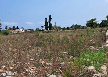 Non correlato - Agricultural land Via Isole delle Molucche, Siracusa - photo 4