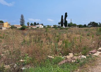 Giardino - Agricultural land Via Isole delle Molucche, Siracusa - photo 5
