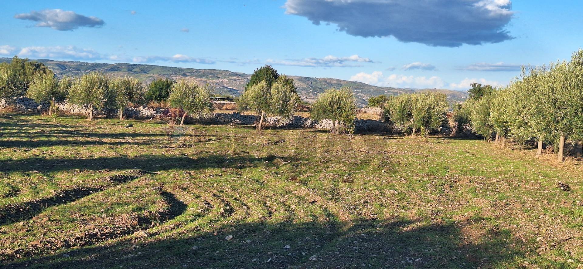 Vista delle montagne - Agricultural land Contrada Cozzo Cisterna
 
snc, Rosolini - photo 2