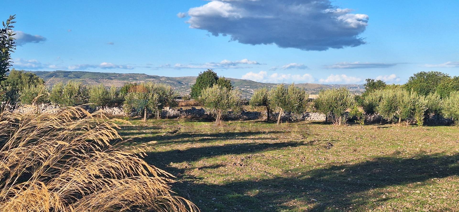 Vista delle montagne - Agricultural land Contrada Cozzo Cisterna
 
snc, Rosolini - photo 3