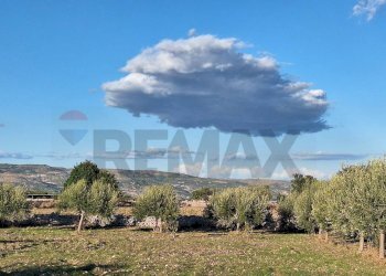 Vista delle montagne - Agricultural land Contrada Cozzo Cisterna
 
snc, Rosolini - photo 1