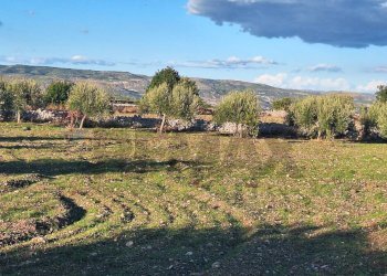 Vista delle montagne - Agricultural land Contrada Cozzo Cisterna
 
snc, Rosolini - photo 2