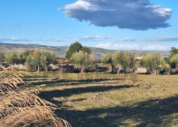 Vista delle montagne - Agricultural land Contrada Cozzo Cisterna
 
snc, Rosolini - photo 3