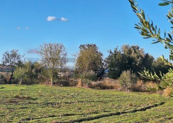 Giardino - Agricultural land Contrada Cozzo Cisterna
 
snc, Rosolini - photo 5