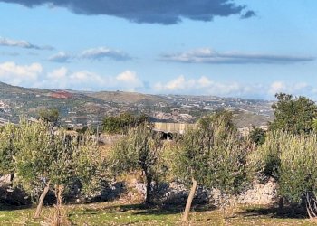 Vista delle montagne - Agricultural land Contrada Cozzo Cisterna
 
snc, Rosolini - photo 7
