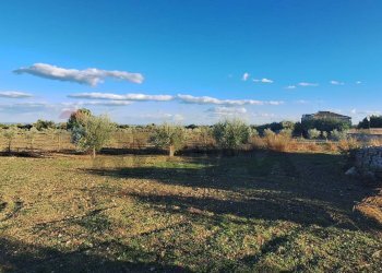 Vista delle montagne - Agricultural land Contrada Cozzo Cisterna
 
snc, Rosolini - photo 8