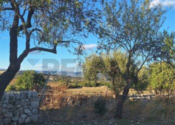 Vista delle montagne - Agricultural land Contrada Cozzo Cisterna
 
snc, Rosolini - photo 11