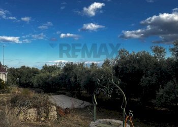 Giardino - Villa Contrada Scala Bagni
 
snc, Canicattini Bagni - foto 22