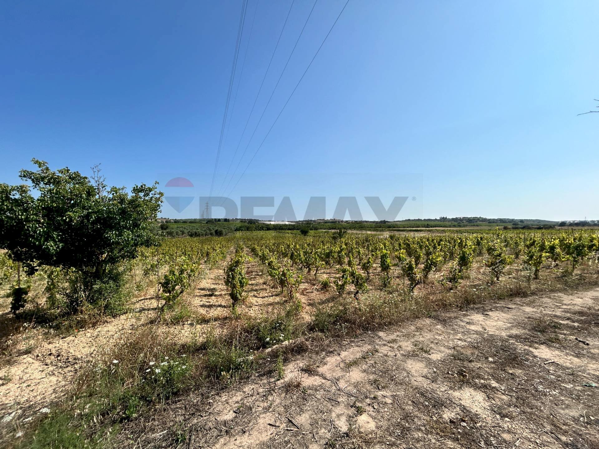 Vista delle montagne - Terreno agricolo Contrada Maccari
 
snc, Noto - foto 1