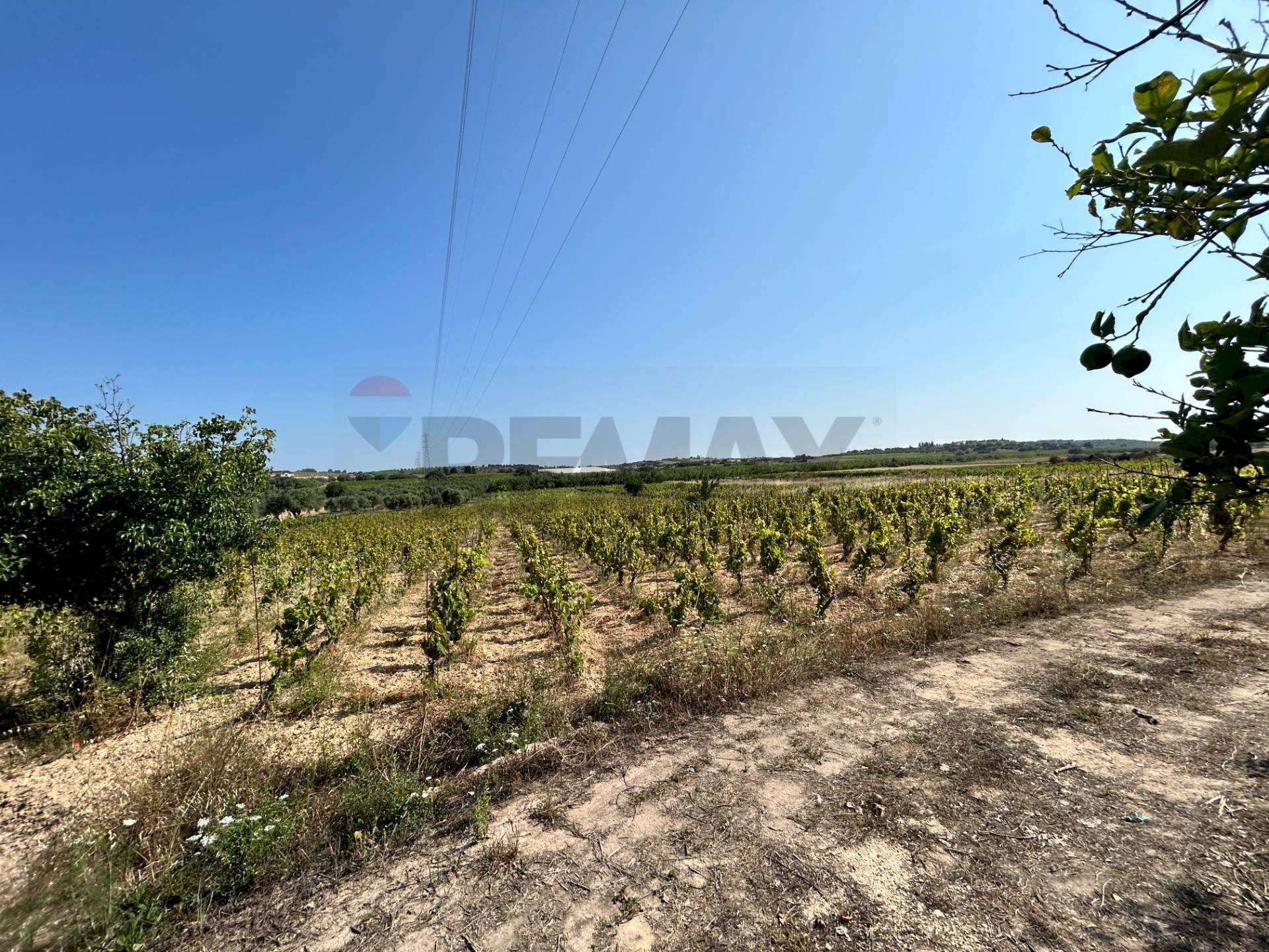 Vista delle montagne - Terreno agricolo Contrada Maccari
 
snc, Noto - foto 2
