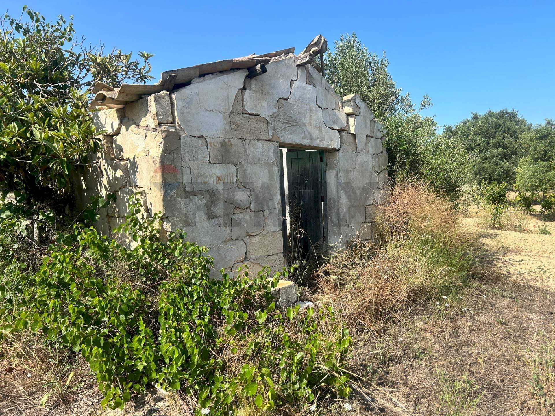 Casa all\'aperto - Terreno agricolo Contrada Maccari
 
snc, Noto - foto 3